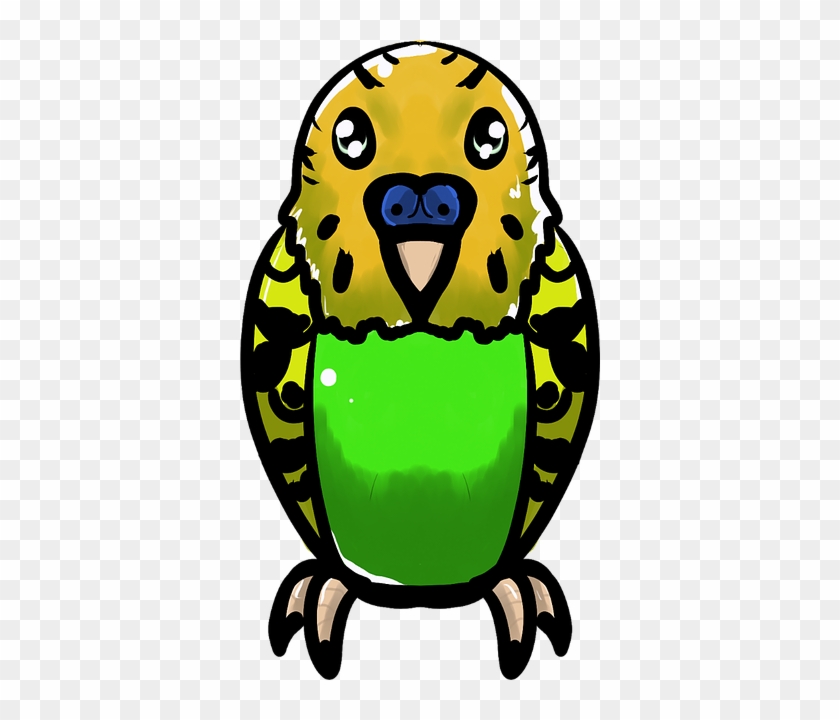 Pin Budgie Clipart - Budgerigar #1119968