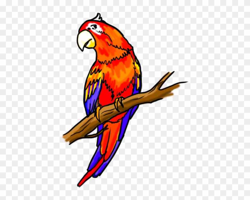 Bird Parrot By Drawing - Free Transparent PNG Clipart Images Download