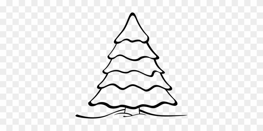 Tree, Forest, Nature, Landscape - Christmas Tree Coloring Pages #1120001