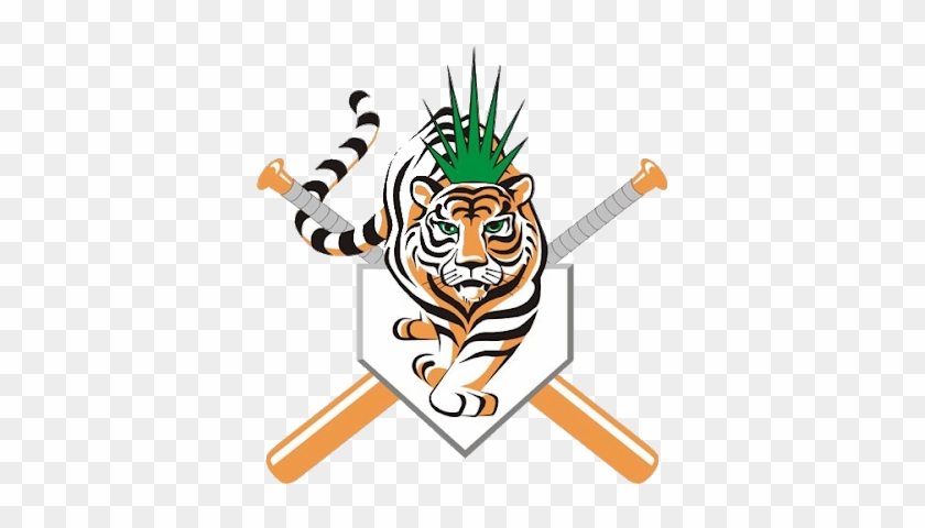 The Tigers Of Ciego De Ávila Continue Rising At The - Ciego De Avila Baseball #1120148