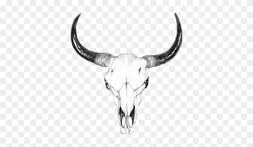 International Bestselling Ranch Series - Bull Skull Black And White #1120236
