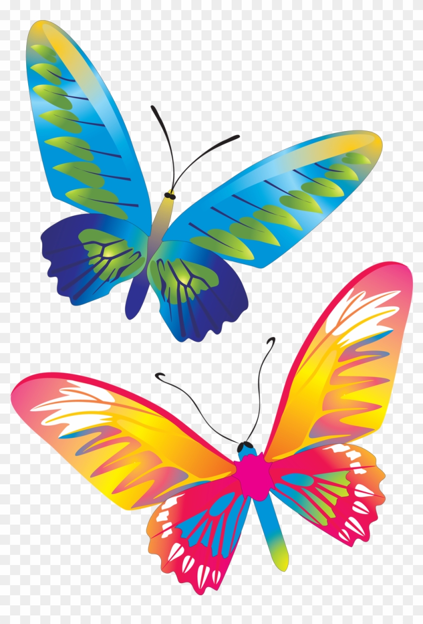 Красивые Бабочки - Butterfly Vector #1120277