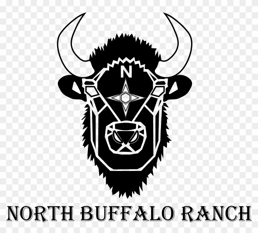 North Buffalo Ranch Buy The Best Buffalo Meat Products - North Star Black Suede Leather Long Hair Ties-pony #1120298