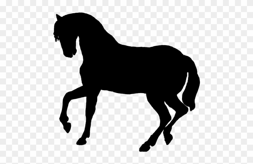Horse Silhouette #1120343