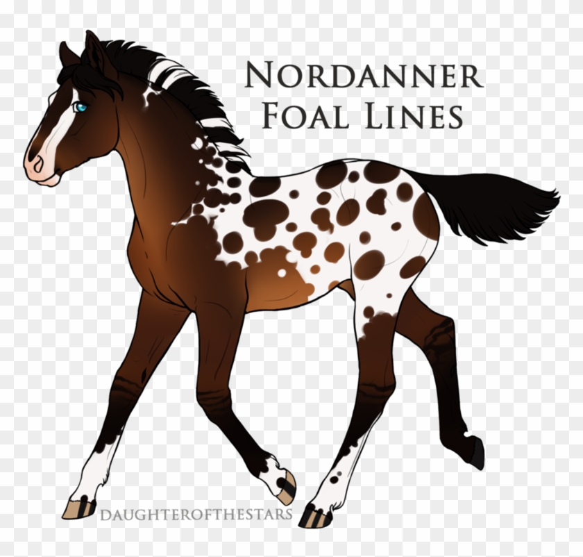 9843 Nordanner Foal Design By Spytfyre-ranch - Digital Art #1120353