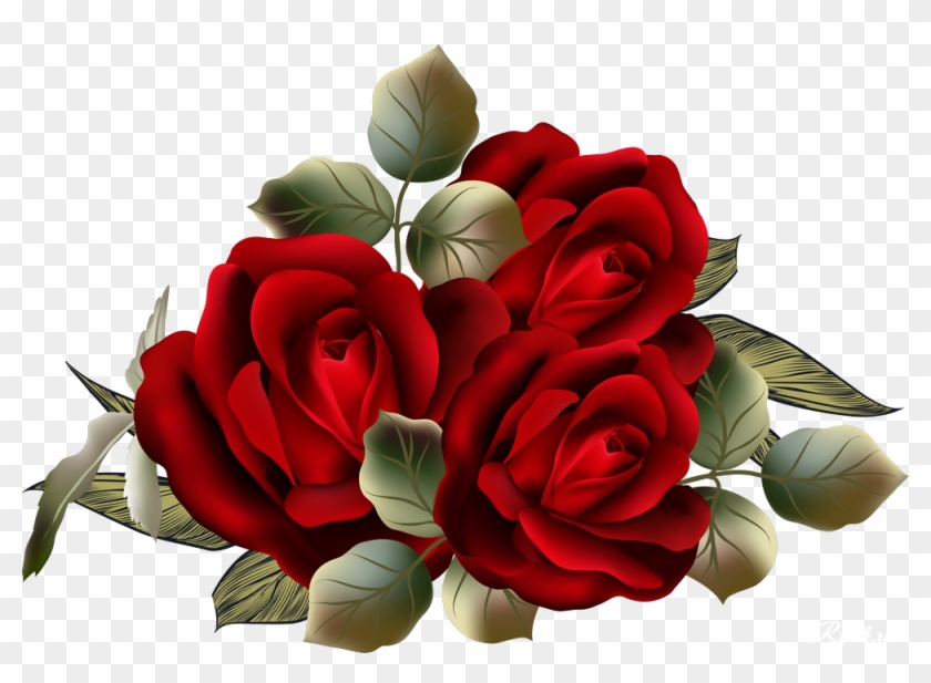 Garden Roses Centifolia Roses Flower Clip Art - Garden Roses #1120455