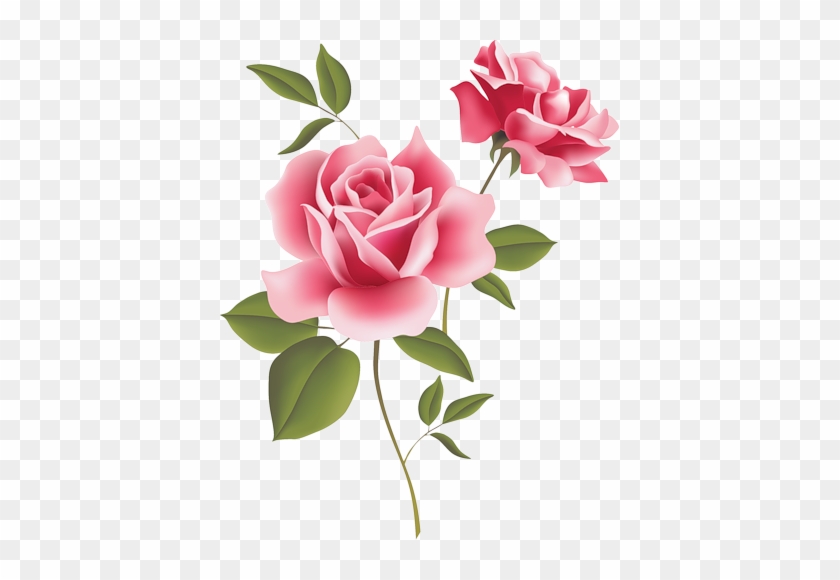 Flor, Dibujos, Pintura, Bordado, Rosas Amarillas, Rosas - English Roses Clip Art #1120470