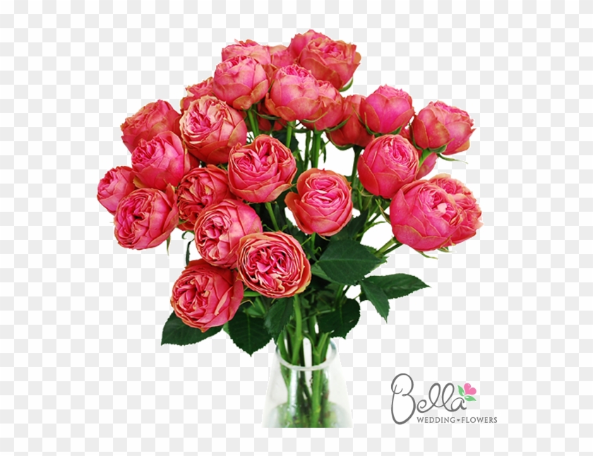 Kabuky Garden Roses Are One Of The Newest Hot Items - Red Rose Bouquet #1120475