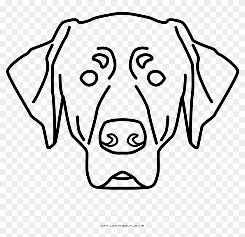 Full Size Of Coloring Book And Pages - Labrador Retriever #1120588