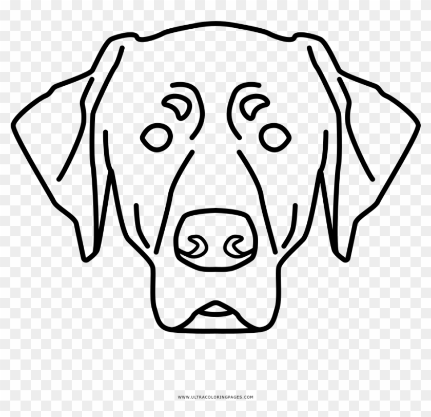 Full Size Of Coloring Book And Pages - Labrador Retriever #1120588