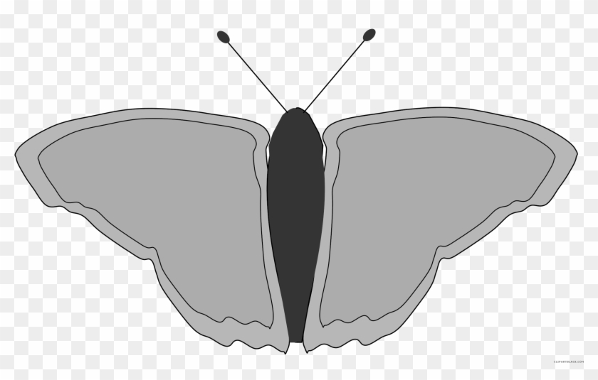 Butterfly Animal Free Black White Clipart Images Clipartblack - Portable Network Graphics #1120688