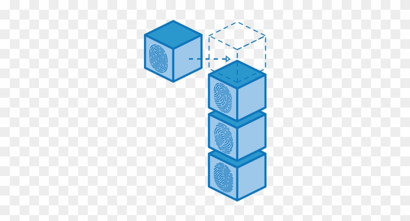 Each Block Has A Unique Hash Function - Each Block Has A Unique Hash Function #1121033