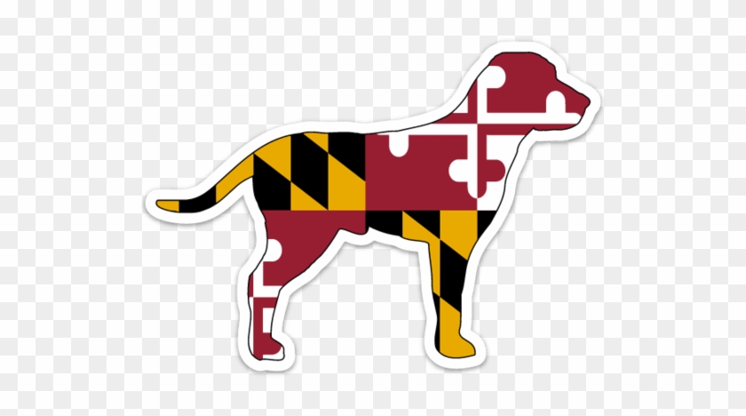 Labrador Overlaid With The Maryland Flag - Flag Of Maryland #1121058