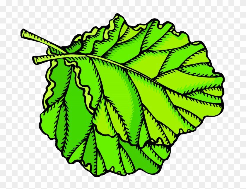 Fruit Leaf Vegetable Animation Clip Art - Vegetable Animation #1121167