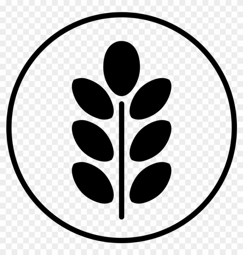 Dry Beans - Noun #1121198
