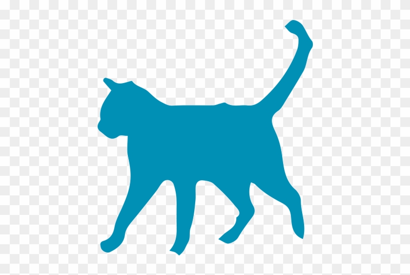 Cat Cages - Cat #1121348