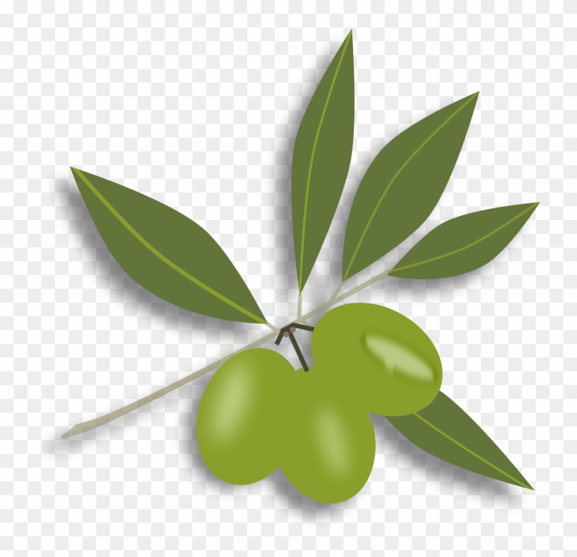 Free Green Olives - Olives Clipart Png #1121365