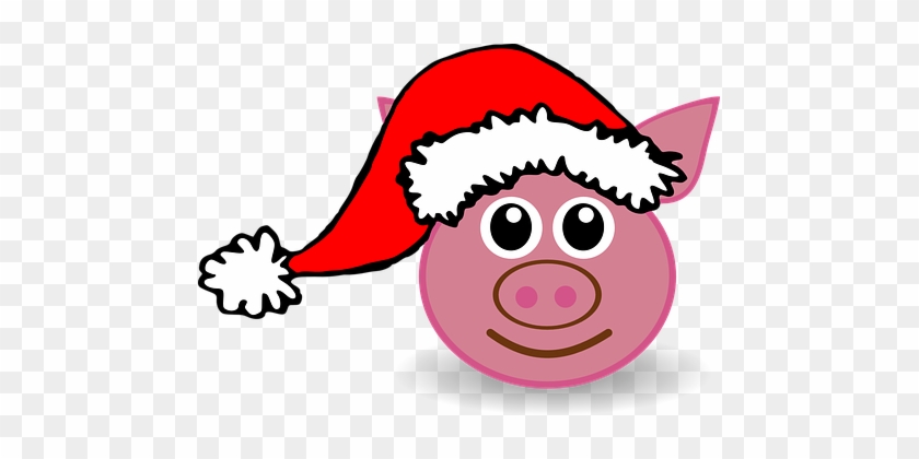 Pig, Animal, Christmas, Santa Claus, Hat - Pig With A Santa Hat #1121387