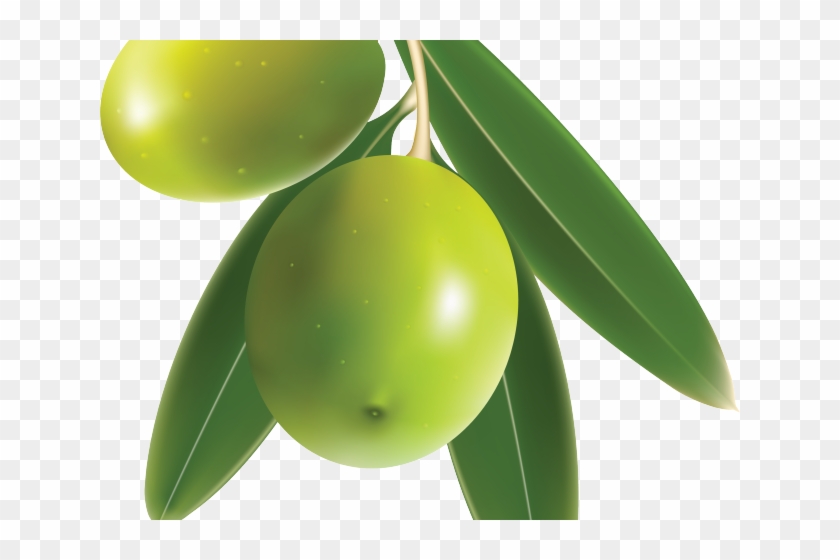 Olive Clipart Transparent Background - Green Mango Png #1121408