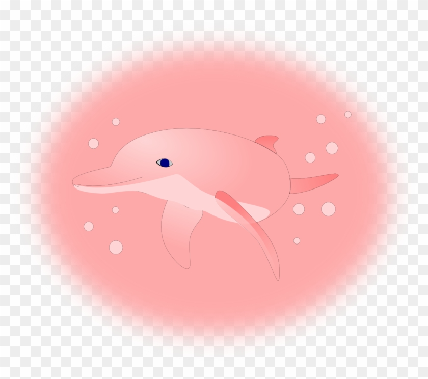Pink Dolphin Wallpaper - Illustration - Free Transparent PNG Clipart Images  Download