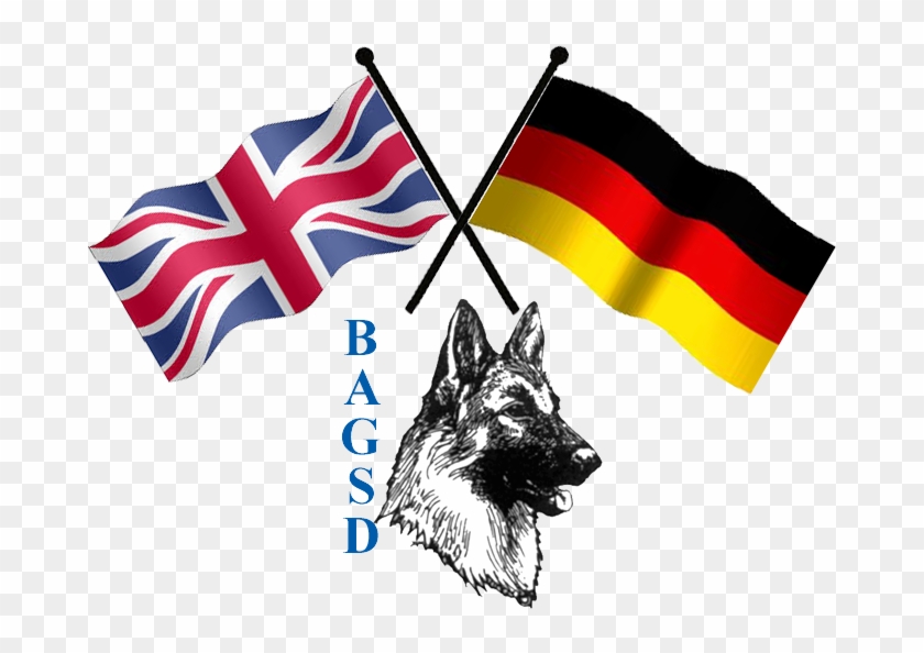 2014 Joint German Shepherd Dog Clubs Two Day Championship - 2014 Joint German Shepherd Dog Clubs Two Day Championship #1121651