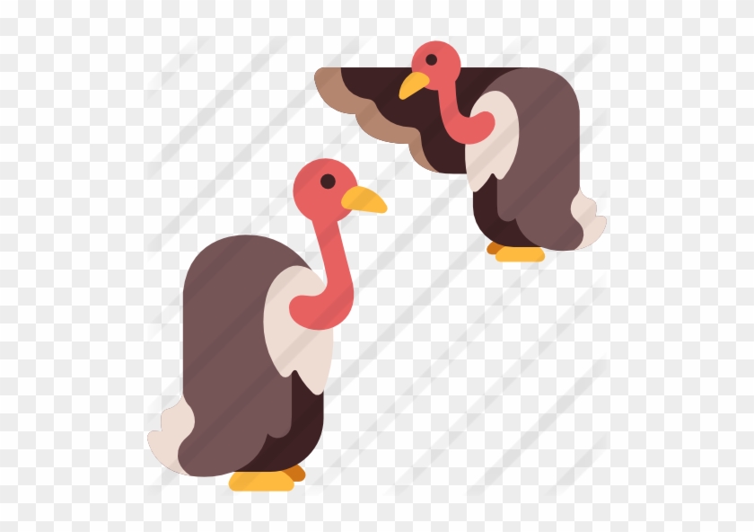 Vulture - Vulture #1121727