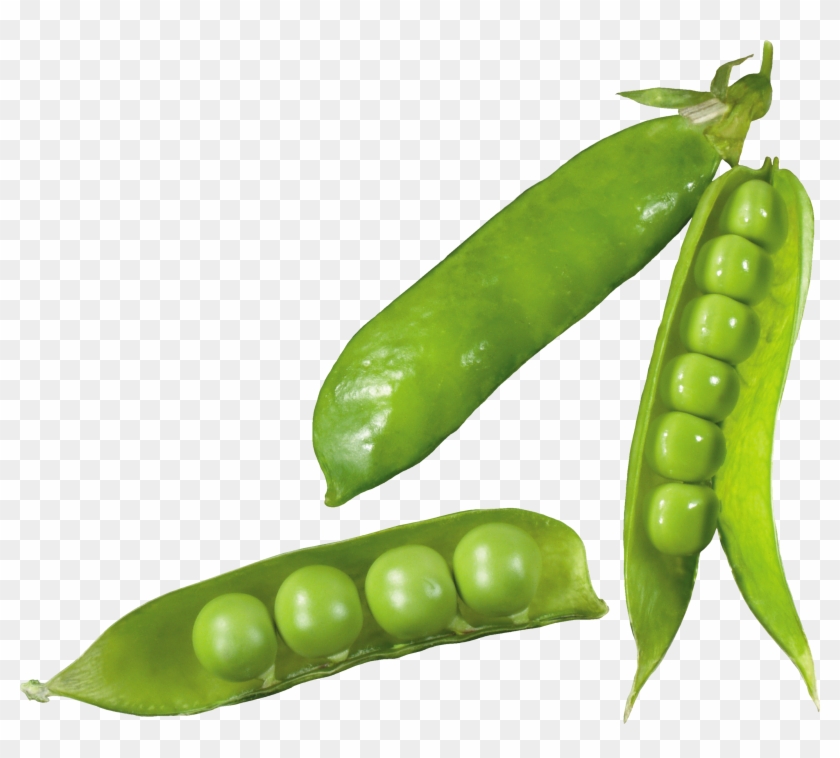 Pulse Clipart Frozen Pea - Snow Peas #1121852