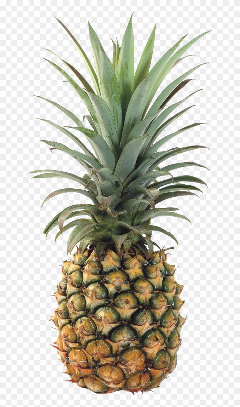 Pineapple Transparent Background - Pineapple #1121945