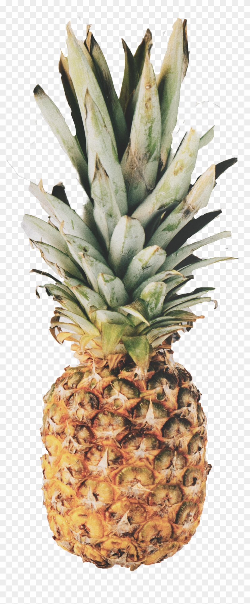 Ananas Render #1121959