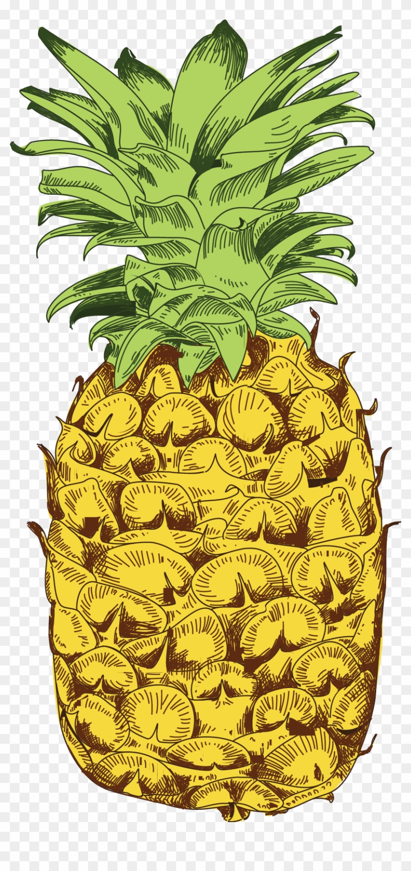 Pineapple #1121983