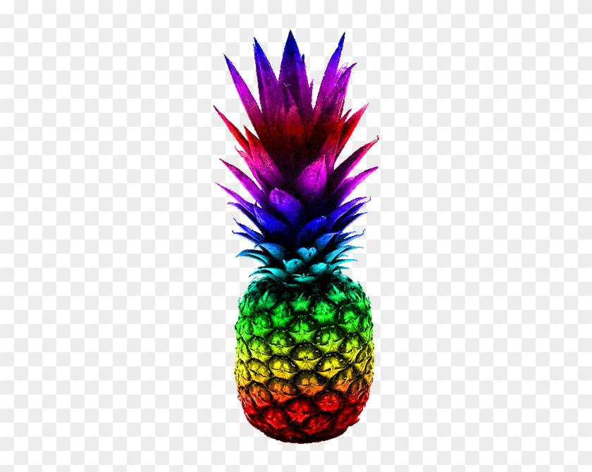 Pineapple Bookends Tumblr - Rainbow Pineapple Gif #1122002