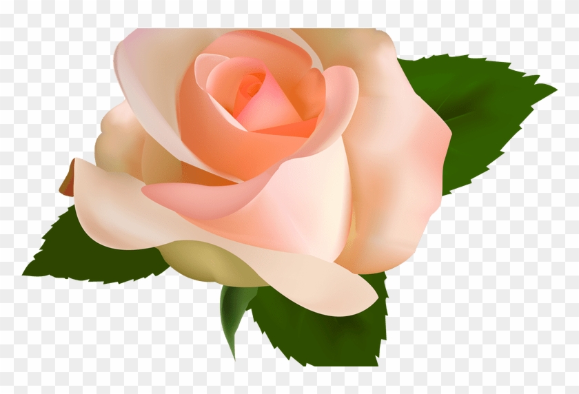 Peach Rose Clipart 5 By Kristen - Rosas Vector #1122172