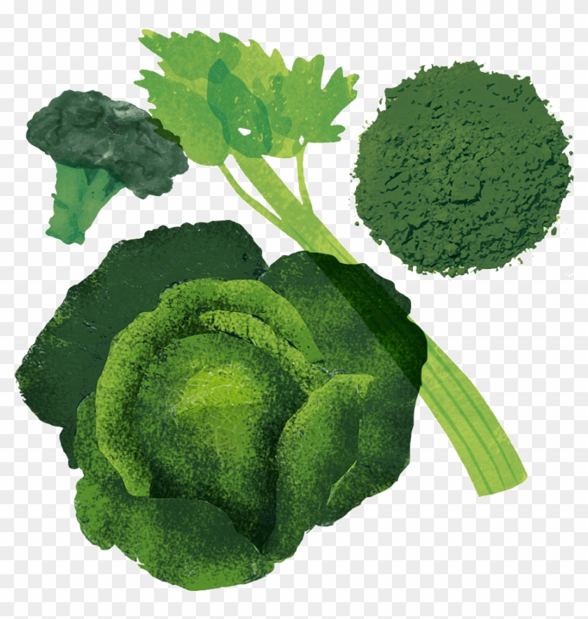 Spirulina - Broccoli #1122209