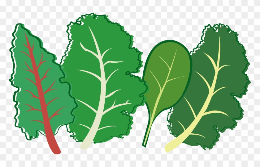 Herb Leaf Vegetable Plant Stem Seed - Home Farmer Super Greens Seed Kit #1122223