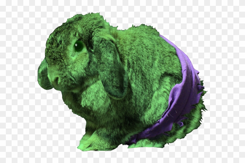 The Incredibun Hulk - Domestic Rabbit #1122247