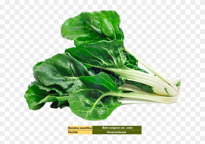 Acelga - Difference Between Swiss Chard And Spinach #1122261