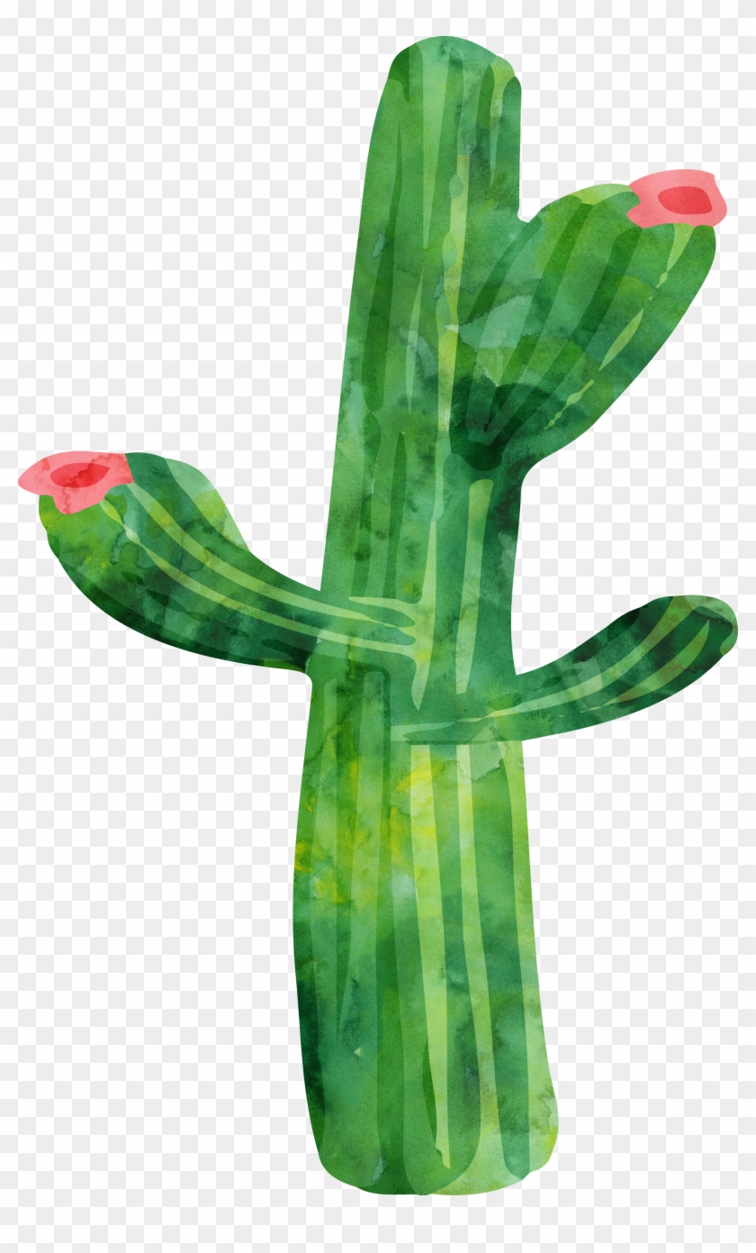 Cactaceae Watercolor Painting Plant - Cactus #1122277