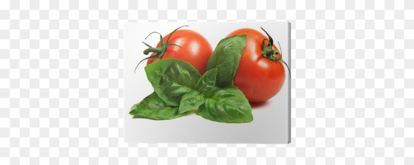 Tomato Basil Png #1122292