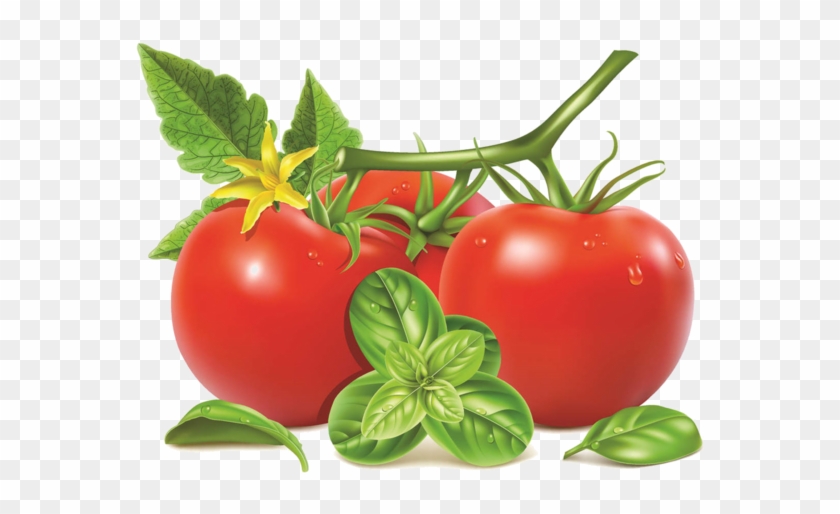 Tomato With Leaf Vector - Free Transparent PNG Clipart Images Download
