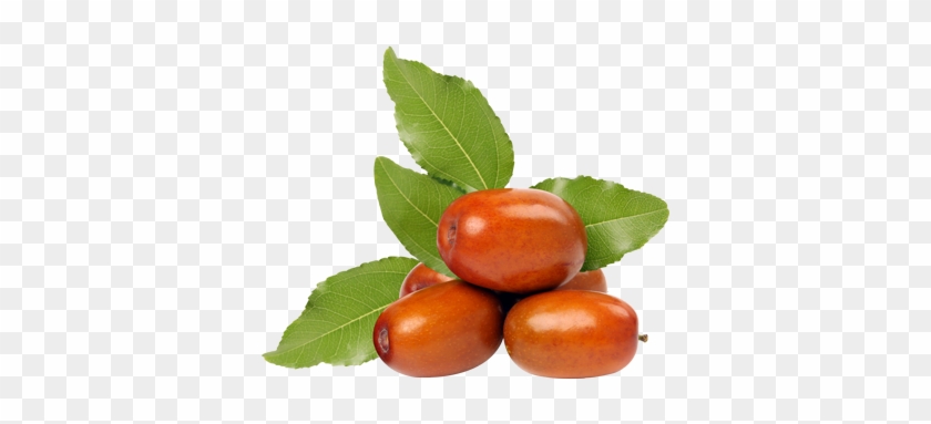 Jujube - Rose Hip #1122307