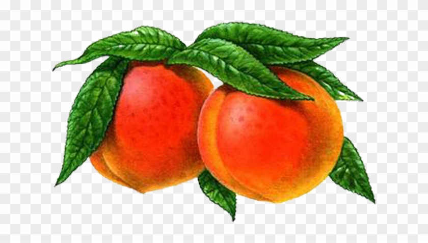 Изображение Для Плейкаста - Cherry Tomatoes #1122423