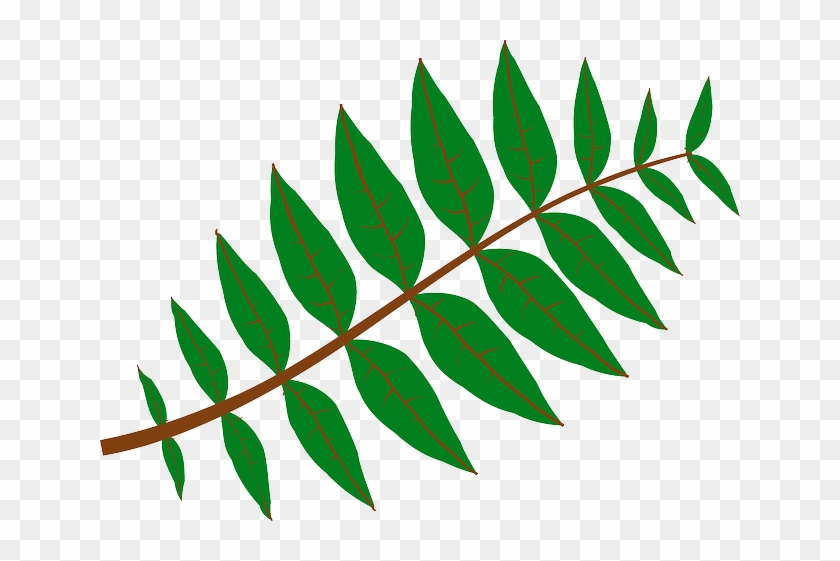 Branch Leaves, Plant, Green, Nature, Twig, Branch - Leaf Clip Art #1122477
