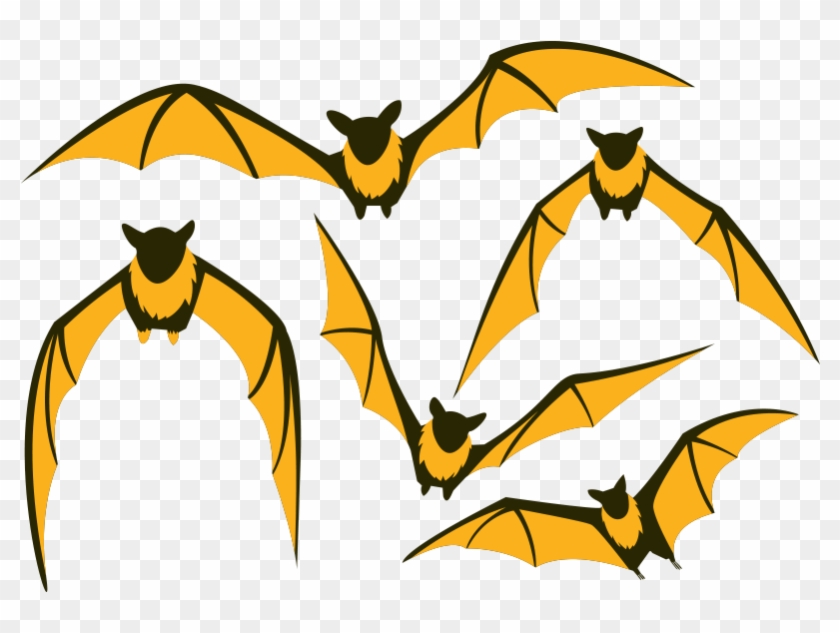 Bat Flight Large Flying Fox Clip Art - Flying Fox Bat Illustration #1122530