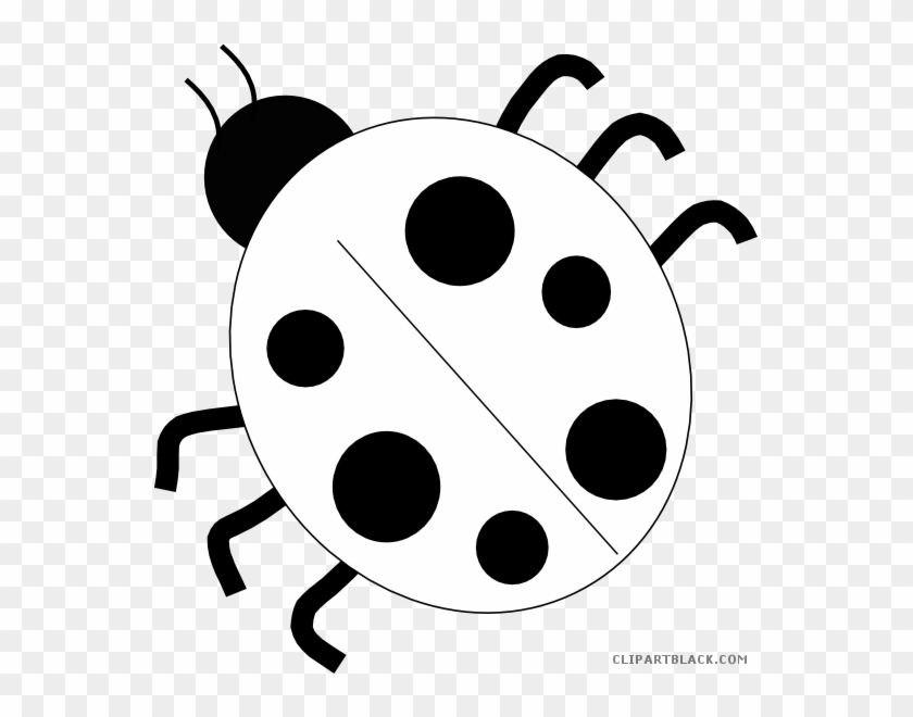 Ladybug Outline Animal Free Black White Clipart Images - Lady Bug Black And White Clipart #1122602