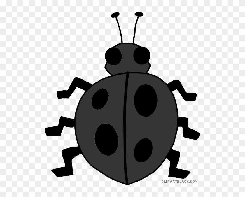 Cartoon Ladybug Animal Free Black White Clipart Images - Onze Lieveheersbeestje Stippen Tellen #1122617