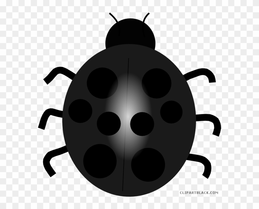 Ladybug Animal Free Black White Clipart Images Clipartblack - Blue Lady Bug Clip Art #1122639