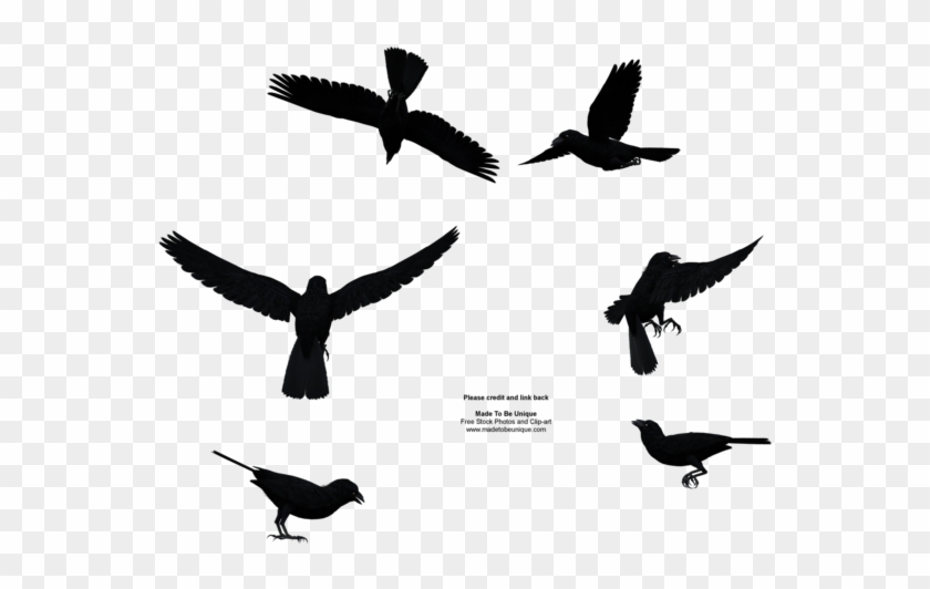 Madetobeunique 113 46 Black Raven Bird Flying Above - Raven Bird Silhouette Png #1122665