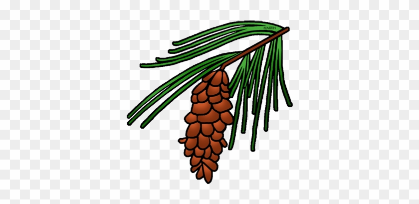 Pine Cone Tree Clipart #1122685