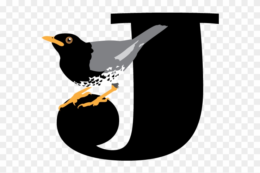 Japanese Thrush Jimbo - Emblem #1122693