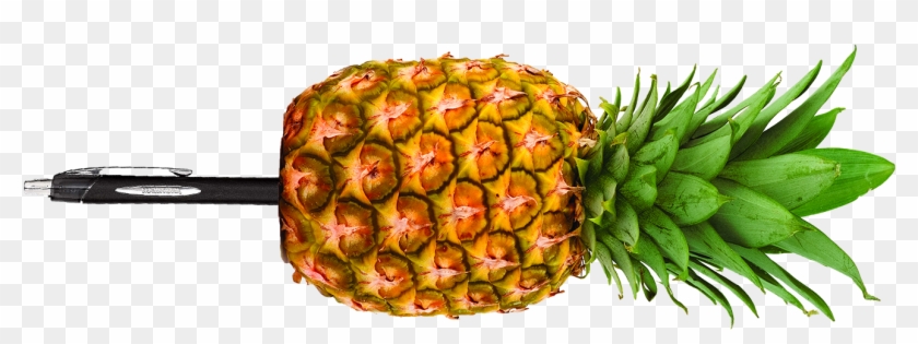 Pineapple Pen - Pineapple With A Pen #1122734